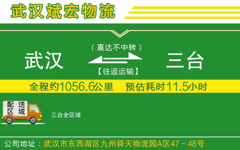 武漢到三臺(tái)物流公司