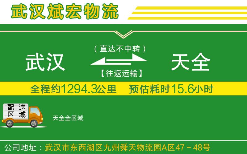 武漢到天全貨運公司