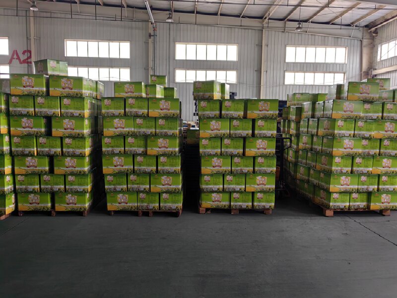 青島到南康區(qū)物流專線